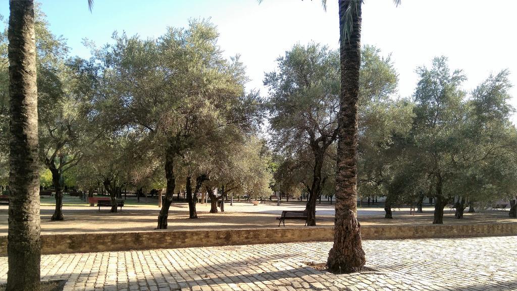 Apartamento Buhaira Seville Luaran gambar
