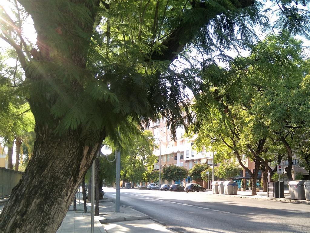 Apartamento Buhaira Seville Luaran gambar